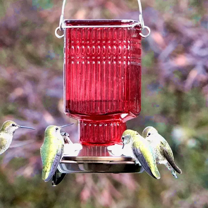 Crimson Carnation Antique Glass Gravity Hummingbird Feeder