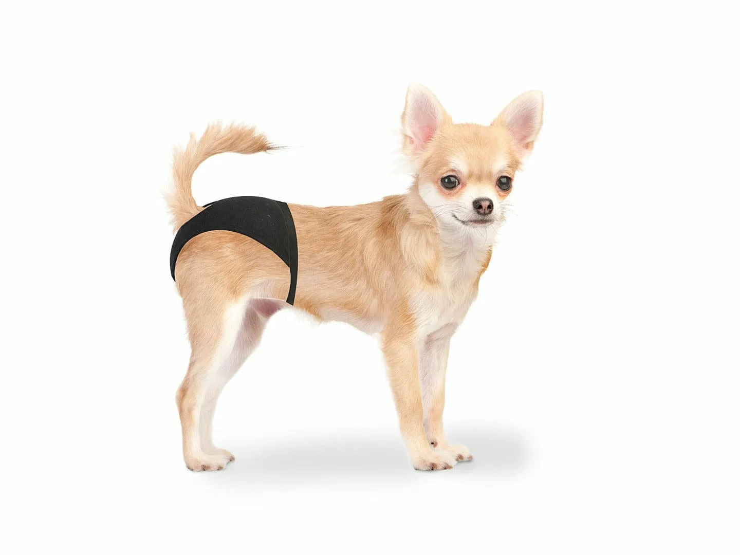 Dog Pants 18-23cm