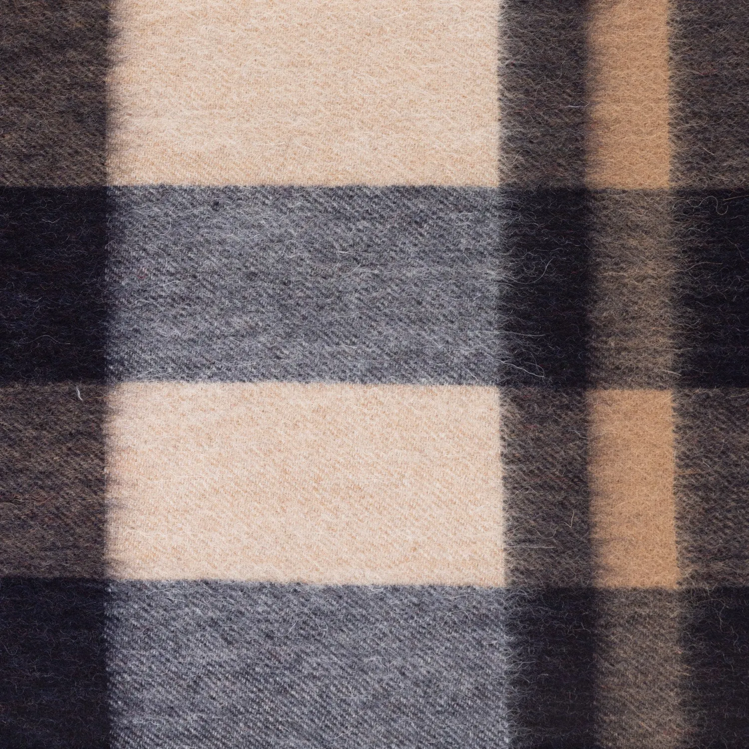 Edinburgh 100% Lambswool Scarf  Bursted Check Neutral/Navy