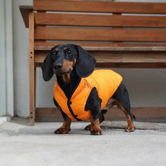 lightweight padding vest for dachshund - orange - xl left!