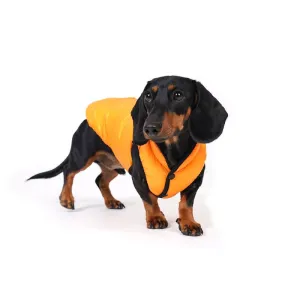 lightweight padding vest for dachshund - orange - xl left!