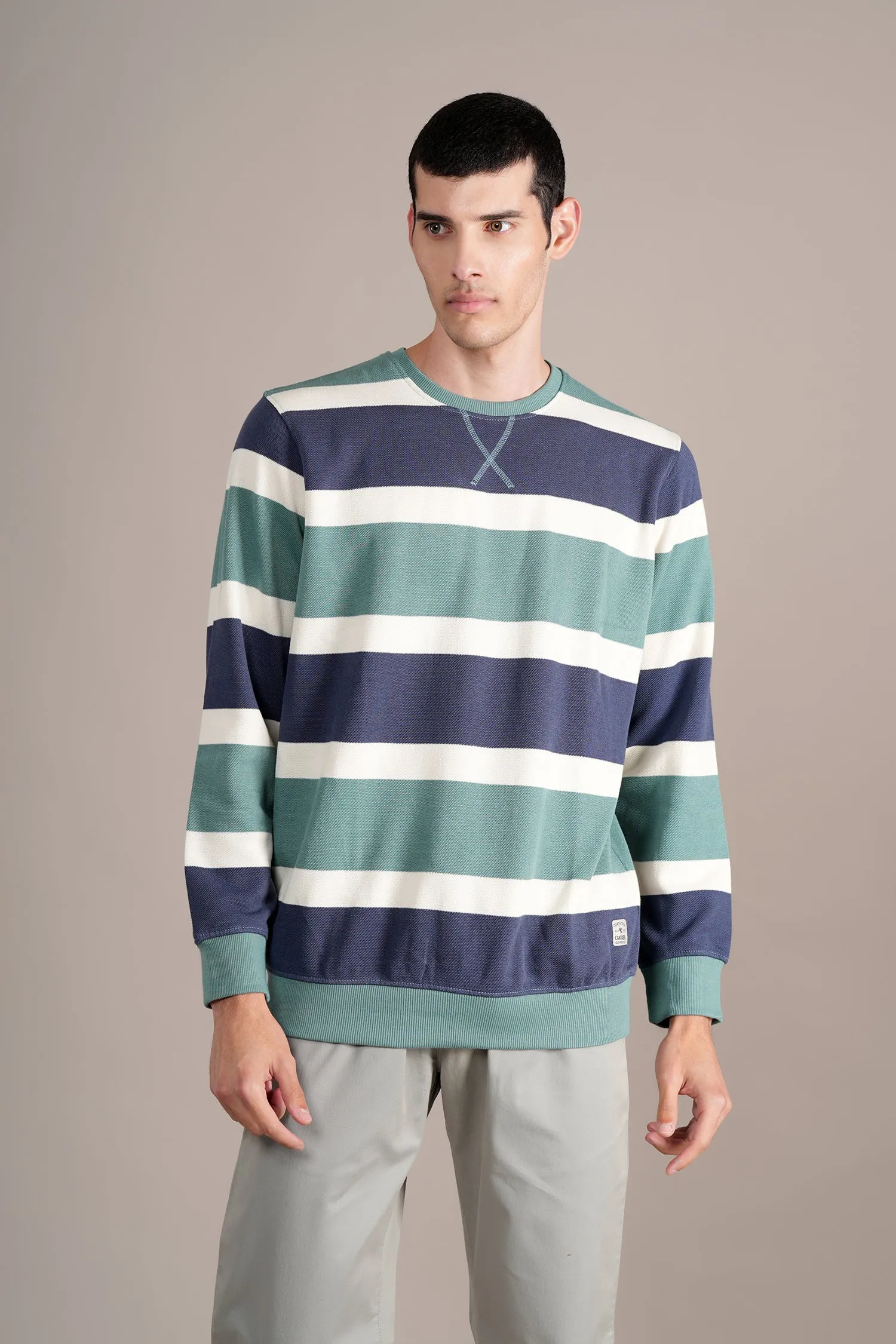 Men's Green Colorblock Full Sleeves Round Neck T-shirt